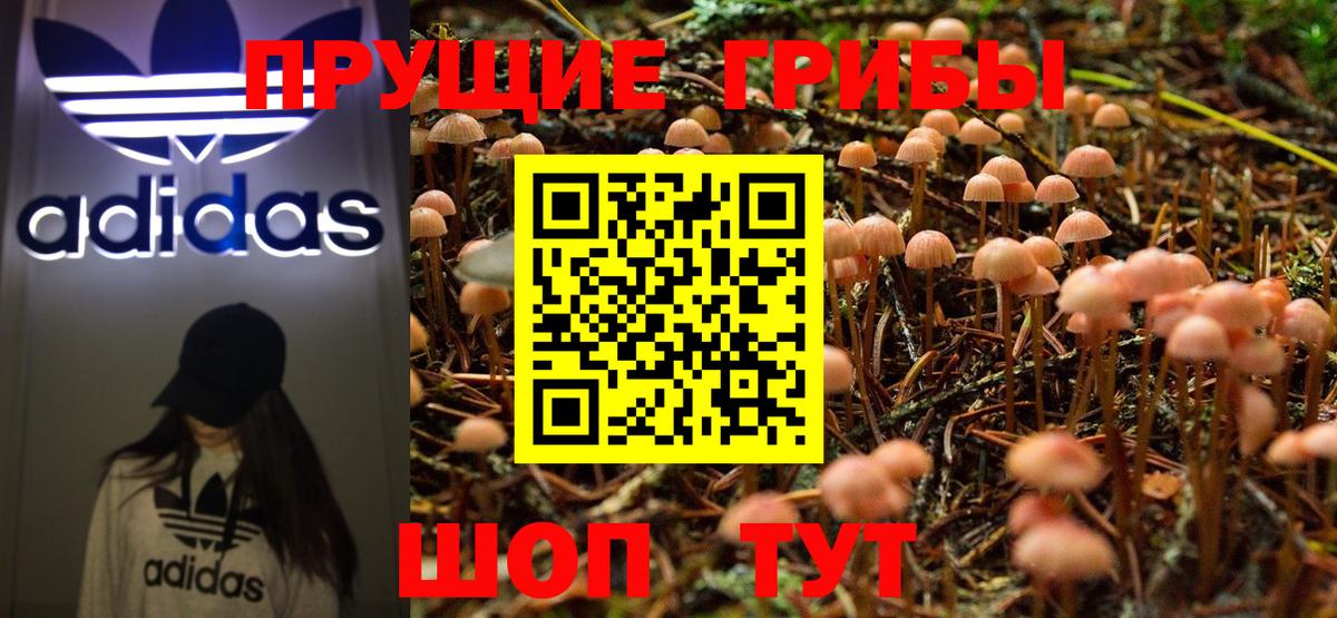 Псилоцибиновые грибы Psilocybe  Вход с VPN  магазин    Южноуральск 